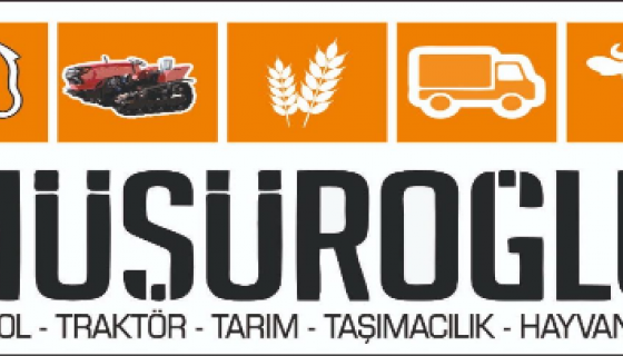 Geçmişten Günümüze