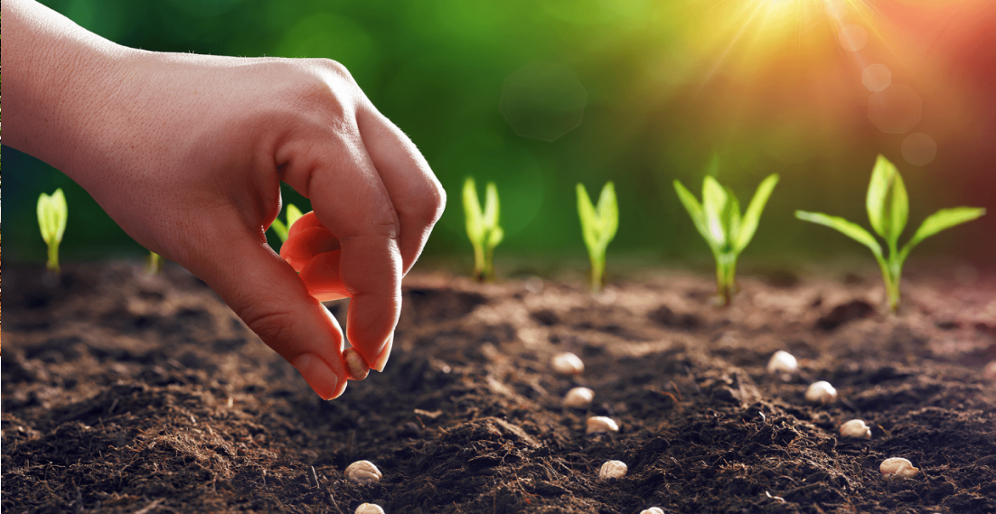 Müşüroğlu Tarım